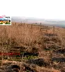 Парцел в Добрич, с. Златия