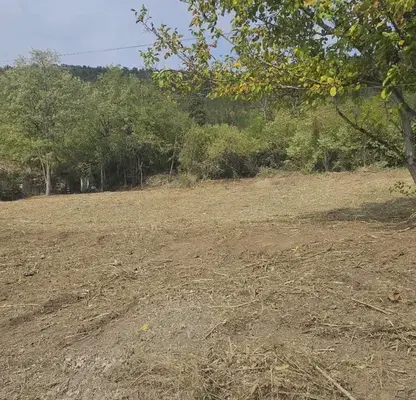 Photo 2 — Plot in Oblast Gabrovo, Sevlievo