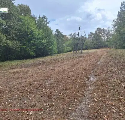 Photo 2 — Plot in Oblast Gabrovo, Tryavna