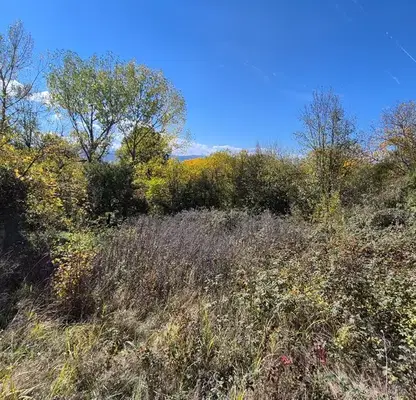 Photo 3 — Plot in Oblast Gabrovo, с. Дивеци