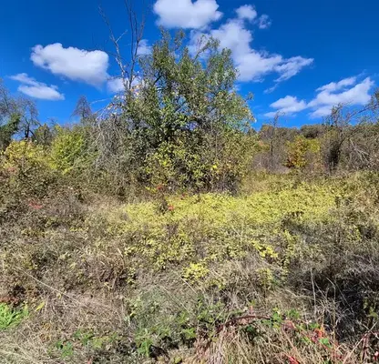 Photo 4 — Plot in Oblast Gabrovo, с. Дивеци