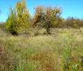 Снимка 2 — Парцел в Габрово, с. Длъгня
