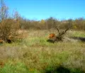 Снимка 3 — Парцел в Габрово, с. Длъгня