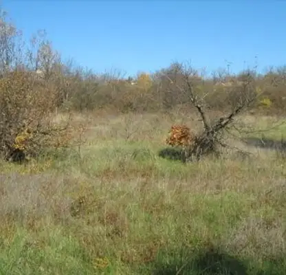 Снимка 2 — Парцел в Габрово, с. Длъгня