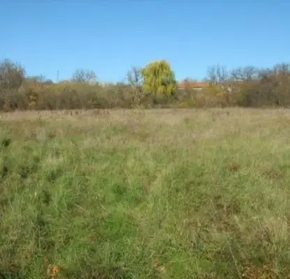 Снимка 5 — Парцел в Габрово, с. Длъгня