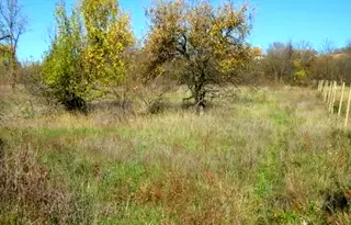 Парцел в Габрово, с. Длъгня