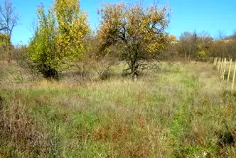 Парцел в Габрово, с. Длъгня