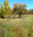 Парцел в Габрово, с. Длъгня