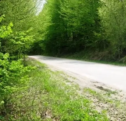 Снимка 3 — Парцел в Габрово, с. Кръвеник