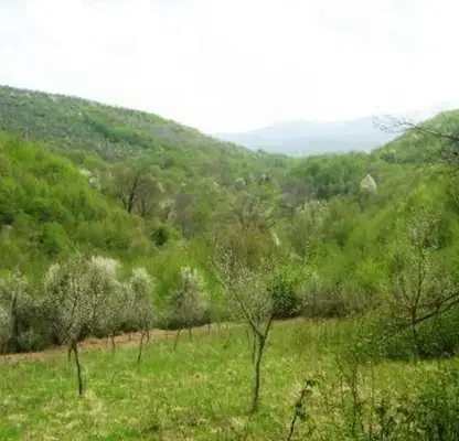Снимка 5 — Парцел в Габрово, с. Кръвеник