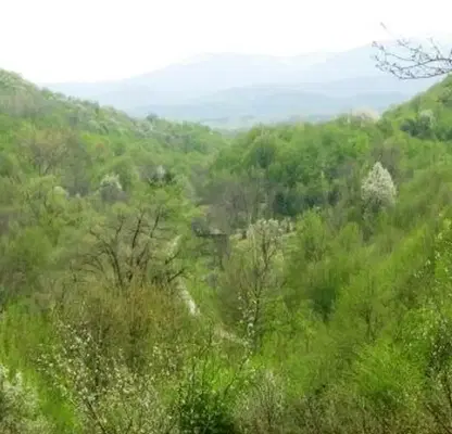 Снимка 5 — Парцел в Габрово, с. Кръвеник