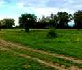 Снимка 2 — Парцел в Габрово, с. Сенник