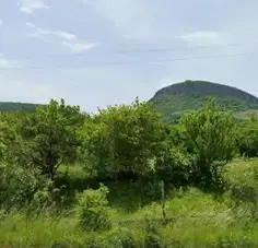 Снимка 2 — Парцел в Габрово, с. Скалско