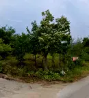 Парцел в Габрово, с. Скалско