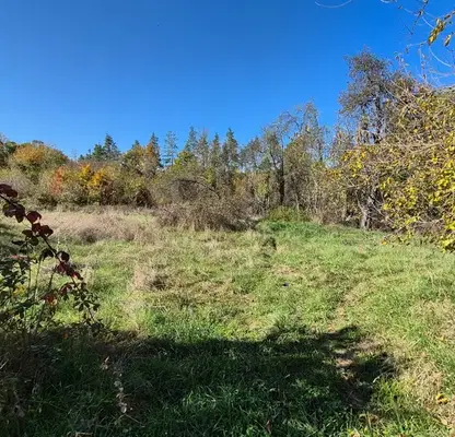 Снимка 3 — Парцел в Габрово, с. Смиловци
