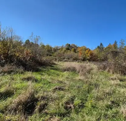 Снимка 4 — Парцел в Габрово, с. Смиловци