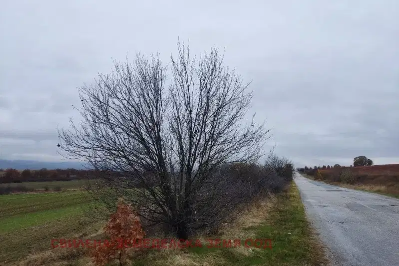 Plot in Haskovo, Svilen