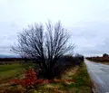 Снимка 2 — Парцел в Хасково, Свилен