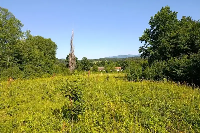 Plot in Oblast Lovech, Troyan