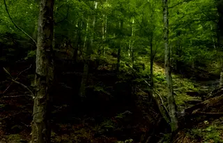 Парцел в Ловеч, с. Казачево