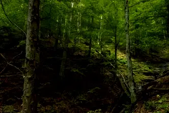 Парцел в Ловеч, с. Казачево