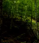 Парцел в Ловеч, с. Казачево