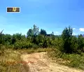 Снимка 4 — Парцел в Монтана, Вършец