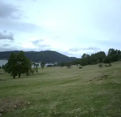 Photo 4 — Plot in Oblast Pazardjik, Batak