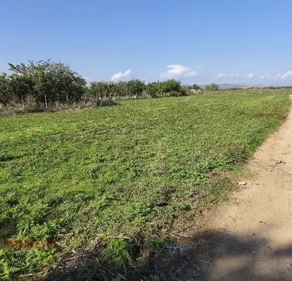 Снимка 2 — Парцел в Пазарджик, с. Драгор