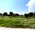 Снимка 3 — Парцел в Пазарджик, с. Ивайло
