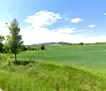 Снимка 4 — Парцел в Перник, Брезник