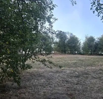 Photo 2 — Plot in Oblast Pernik, Divotino