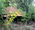 Снимка 3 — Парцел в Перник, с. Дивотино