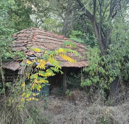 Photo 3 — Plot in Oblast Pernik, Divotino
