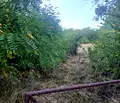 Снимка 4 — Парцел в Перник, с. Дивотино