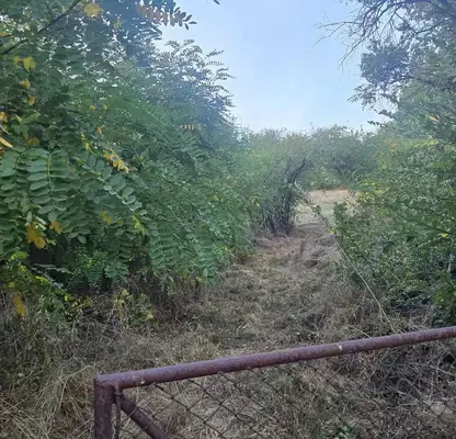 Photo 4 — Plot in Oblast Pernik, Divotino