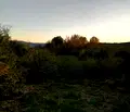 Снимка 4 — Парцел в Перник, с. Прибой