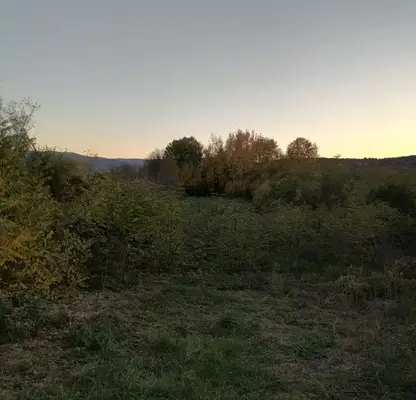 Снимка 4 — Парцел в Перник, с. Прибой
