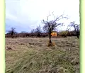 Снимка 3 — Парцел в Перник, с. Прибой