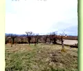 Снимка 5 — Парцел в Перник, с. Прибой