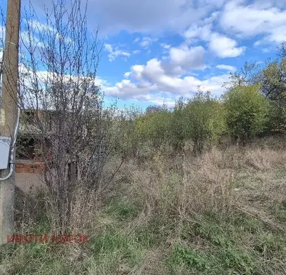 Снимка 4 — Парцел в Перник, с. Селищен дол