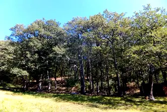 Парцел в Плевен, с. Николаево