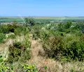 Снимка 3 — Парцел в Пловдив, Асенов