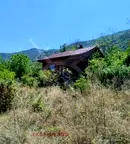 Парцел в Пловдив, Асенов