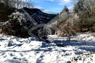 Парцел в Пловдив, Асенов