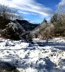 Парцел в Пловдив, Асенов