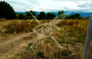 Парцел в Пловдив, Стамболийски
