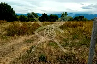 Парцел в Пловдив, Стамболийски