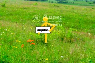 Парцел в Пловдив, Стамболийски