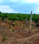Парцел в Пловдив, с. Белащица